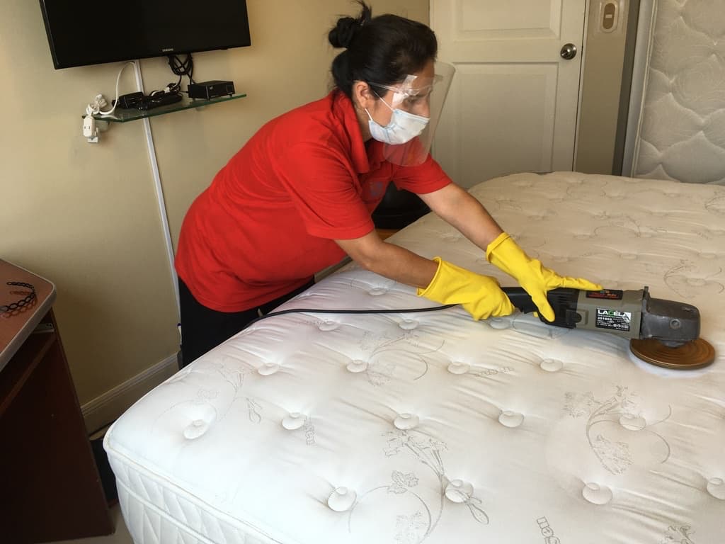 CLEAN EXPRESS - Servicios de Limpieza y Lavado de Colchones, desinfección  de colchones